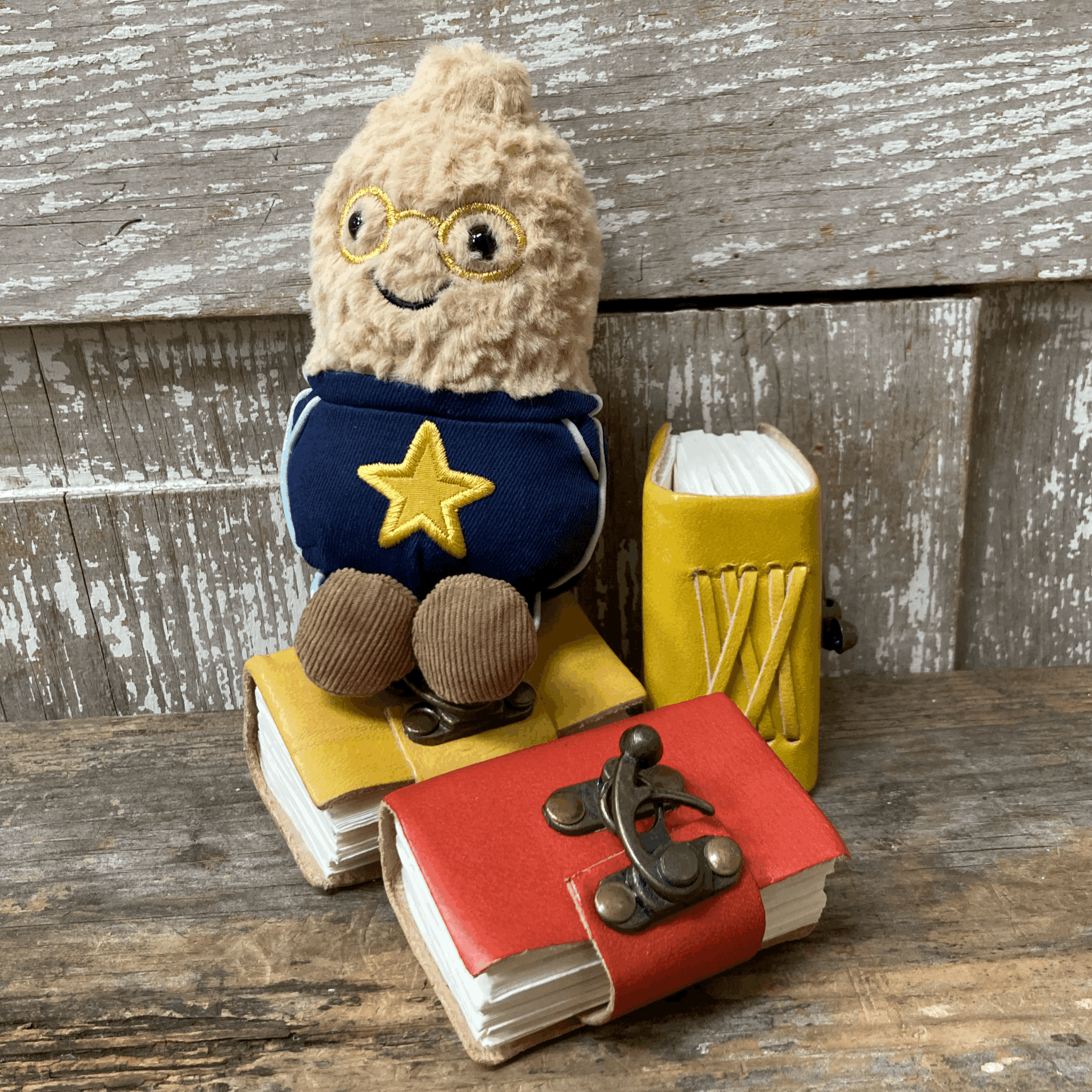 Amuseables Peanut Star Student