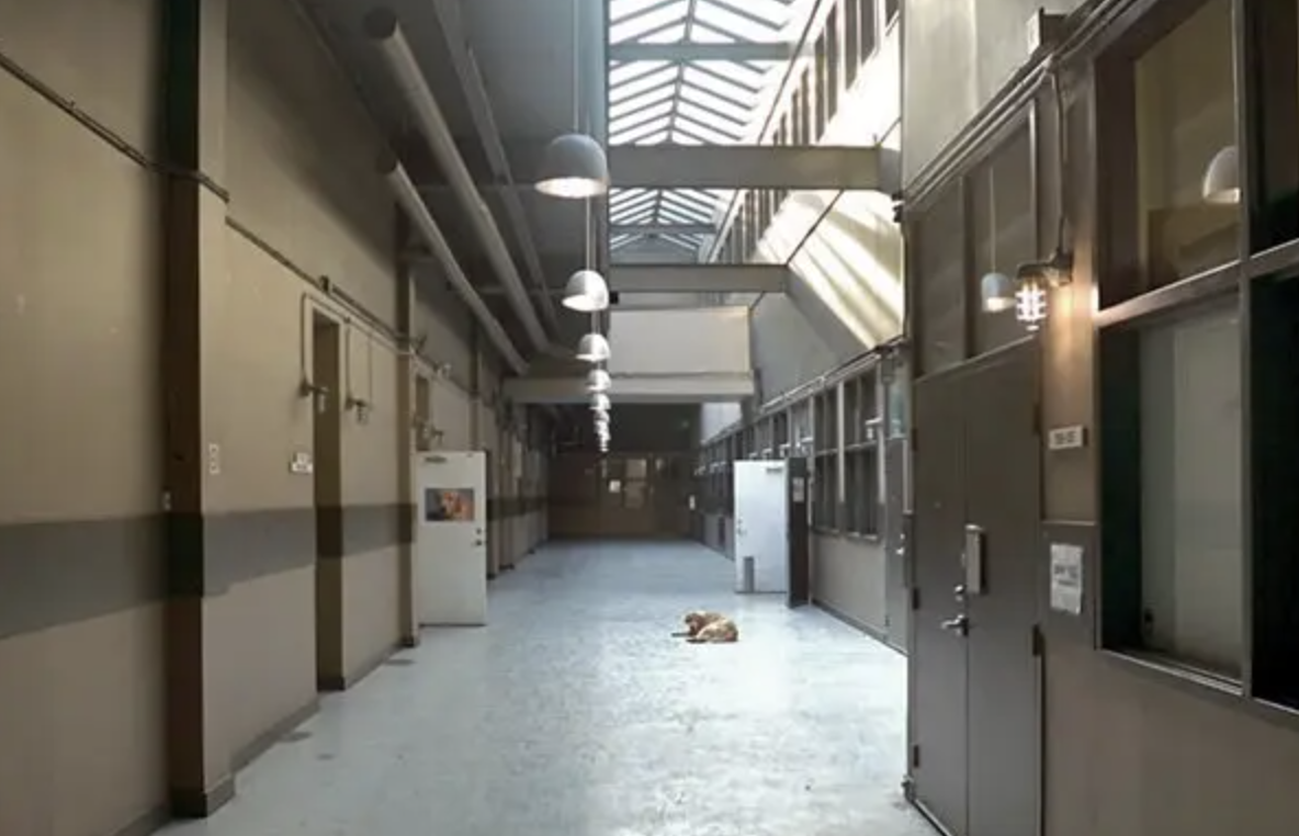 Screenshot 2026-03-10 at 9.04.58 PM.png