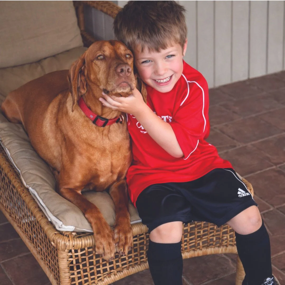 Maxfield Brody