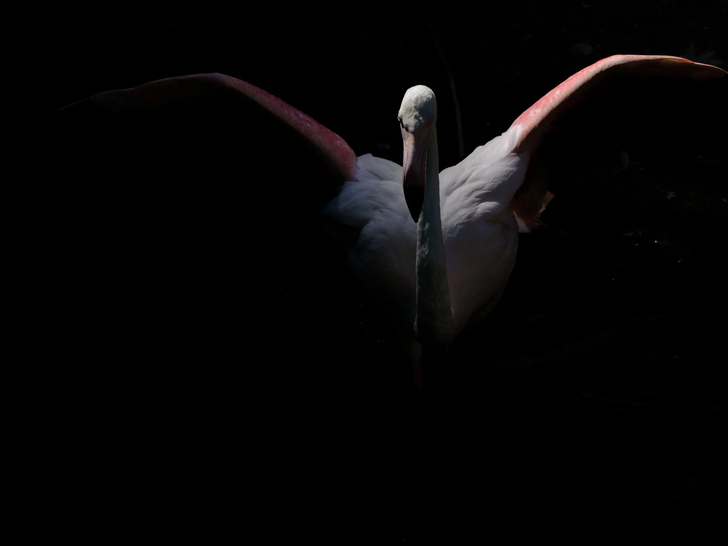 DSCF9357.jpg