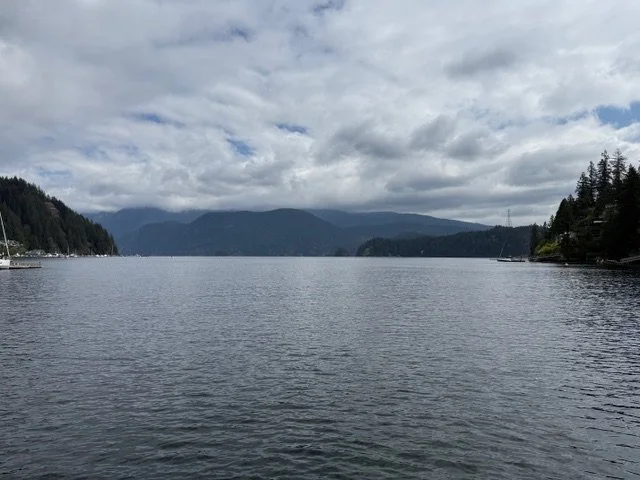 IMG_7736.jpeg
