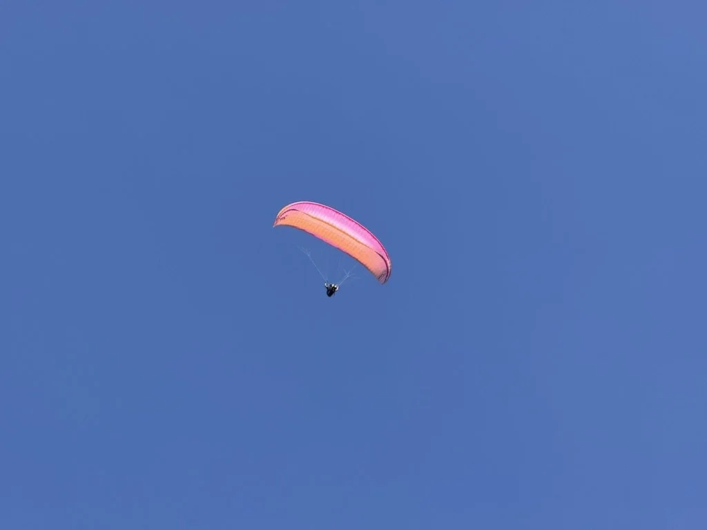 C3C389B8-8E3A-49B3-88BB-3FF7855576D4_1_105_c.jpeg
