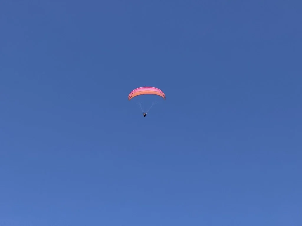 CE3EC959-4DF6-4801-BDA4-5BE02D7F33E3_1_105_c.jpeg