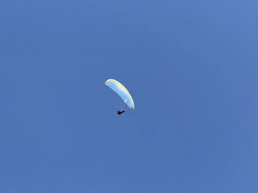 721D24E1-EF06-4401-AE0A-D2B70C0D4DA4_1_105_c.jpeg