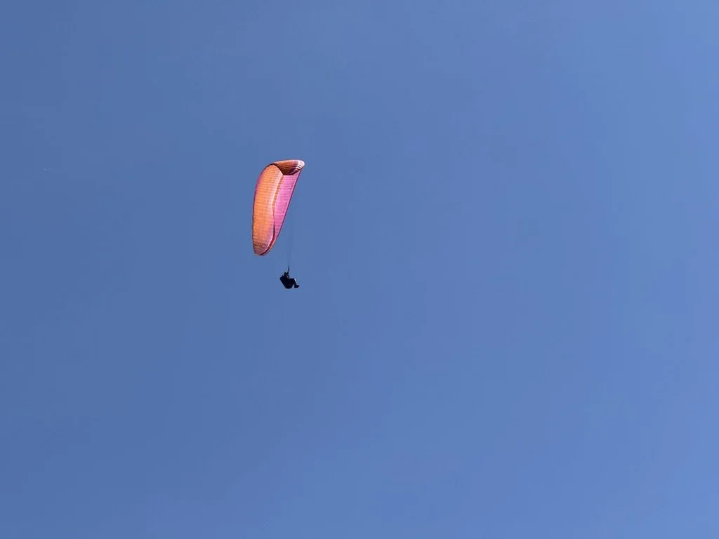 70B9FA09-FF33-4D97-B703-20677A5716D8_1_105_c.jpeg