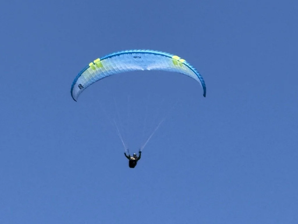 1706012E-3237-43F8-9C94-8AF04A41485A_1_105_c.jpeg