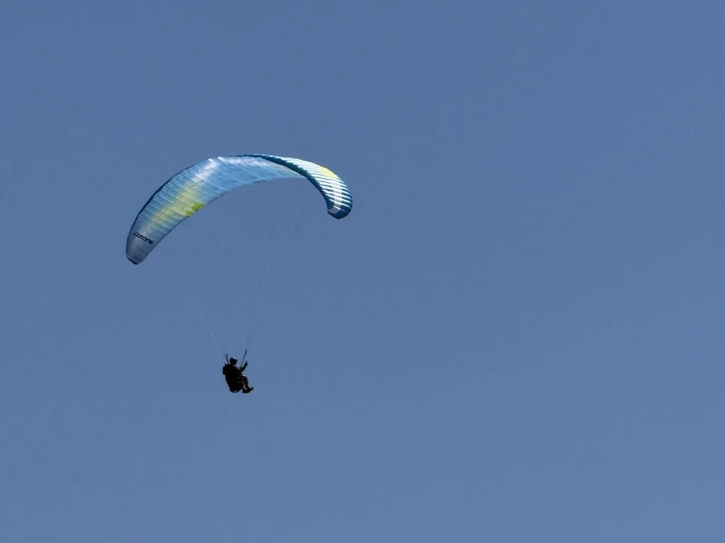 AD5073D9-E249-45AC-8E65-2642F2D7C1EC_1_105_c.jpeg