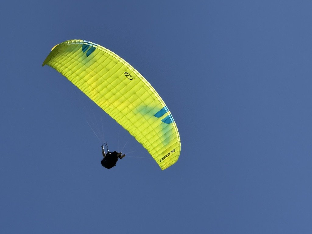 0C08EAB4-0444-4A0A-9403-E40A65E8845E_1_105_c.jpeg