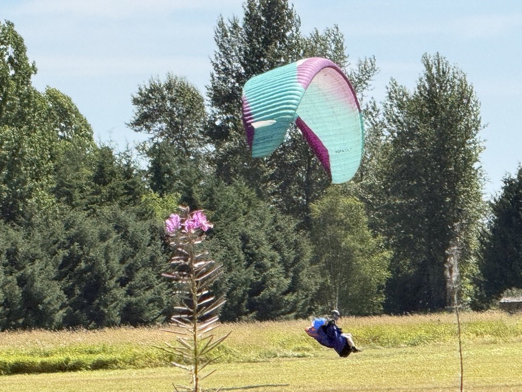 A1753FAE-D545-407F-BD5F-773A04560F8C_1_105_c.jpeg
