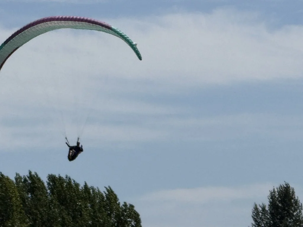 9A0CD98A-3469-4F40-8D6F-7B16D3E254E1_1_105_c.jpeg