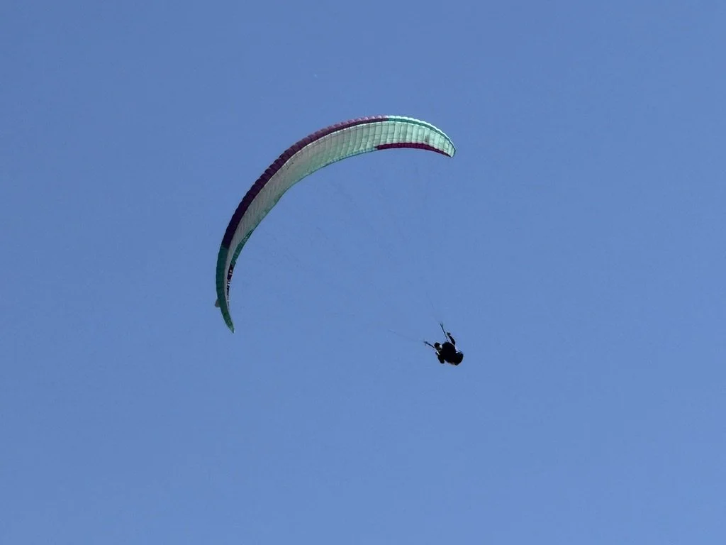 12AA1CFB-186F-4C61-A650-867FE101DCB2_1_105_c.jpeg