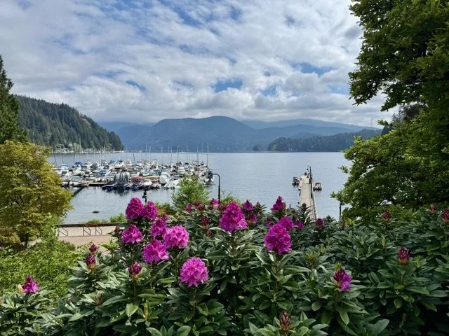 view of harbor with moutains in the background