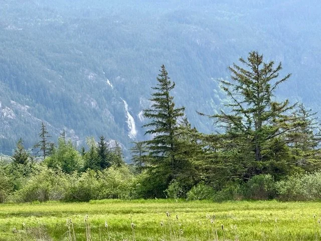 waterfall on a mountainside as seen from a meadow