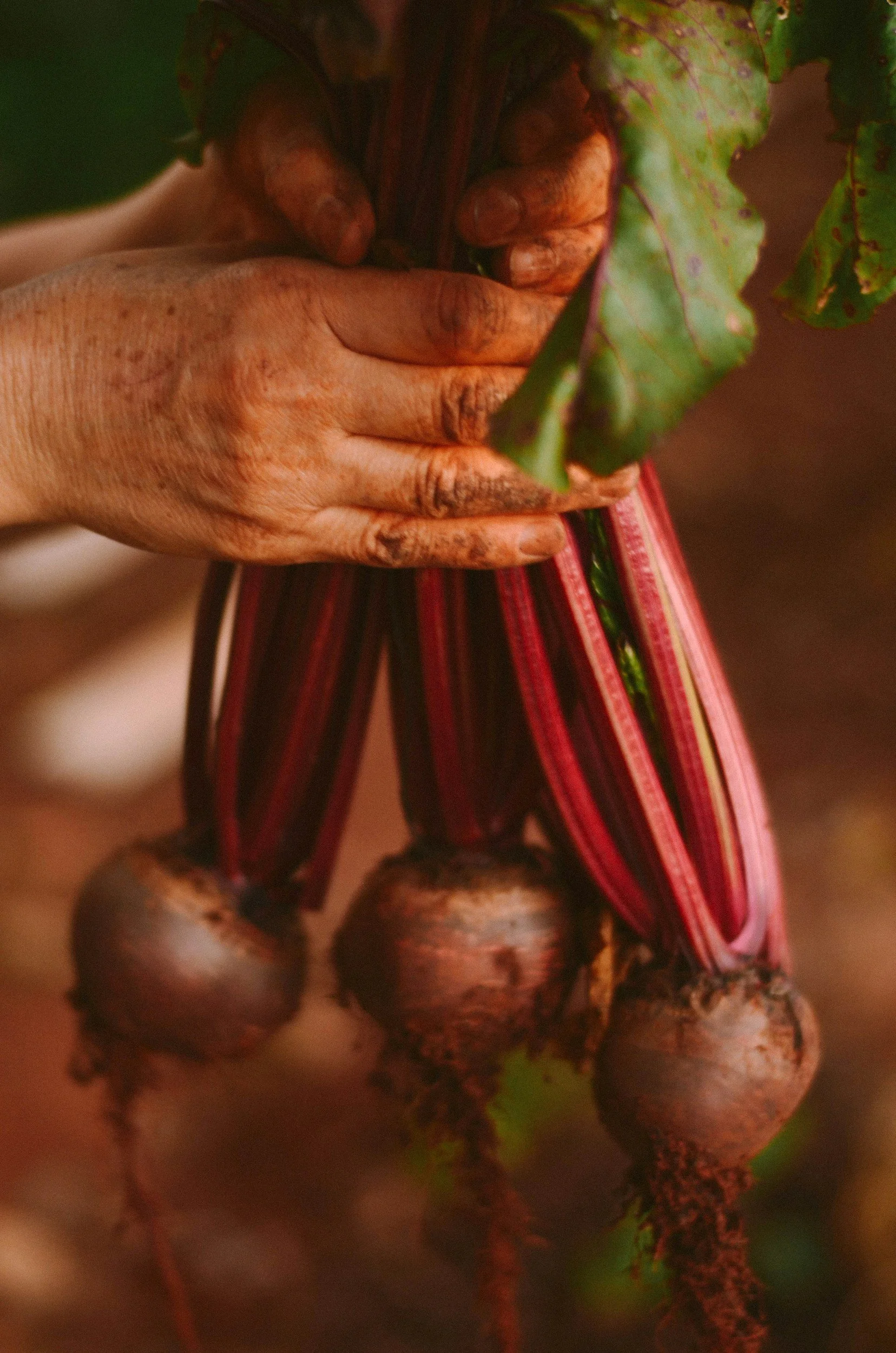 unsplash-image-ERmntQINfOY.jpg