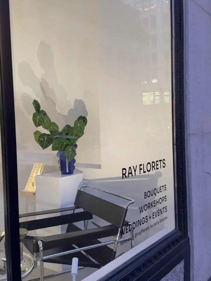 she didn&rsquo;t come to be subtle