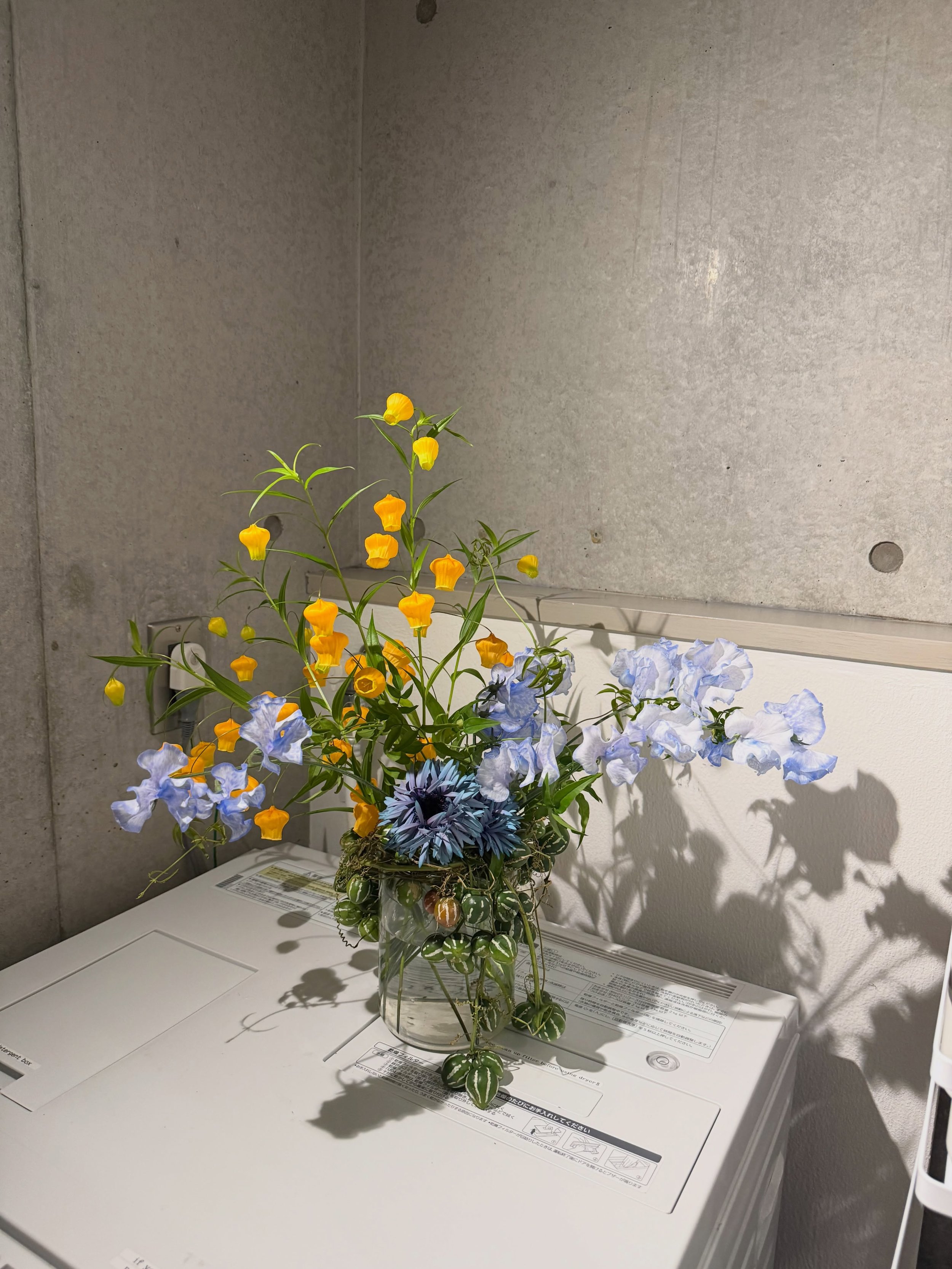 Throwback to my Airbnb stay in Japan, just playing around with flowers