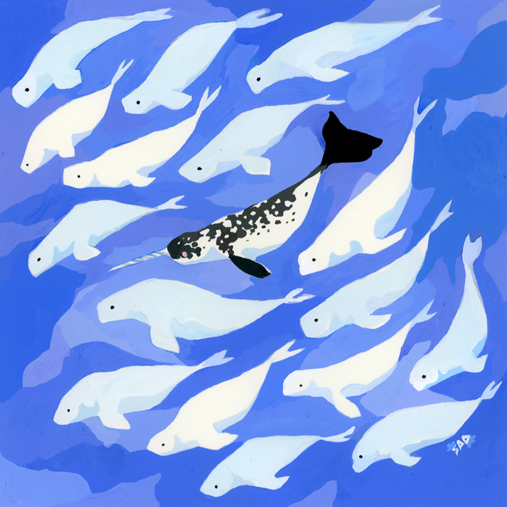 150DPI_+NarwhalBeluga++copy.png