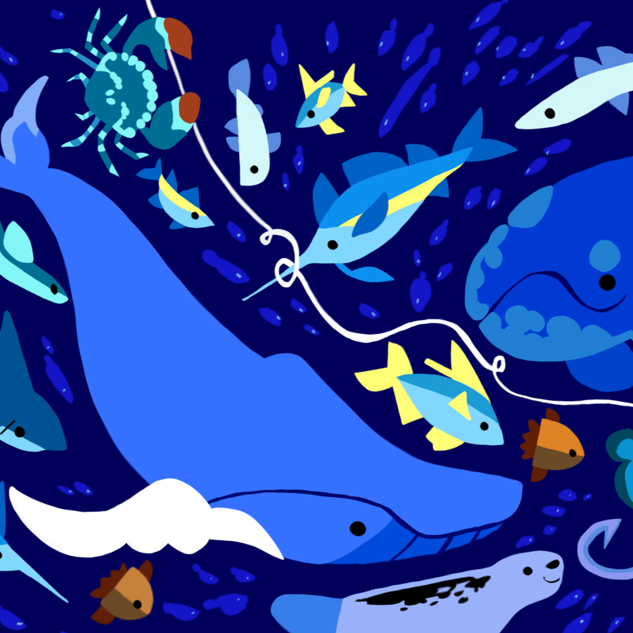 Buoy Illustrations