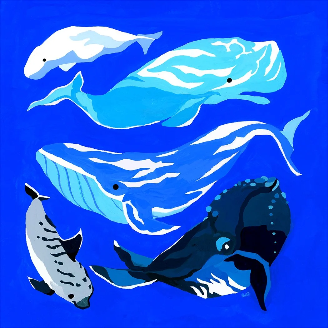 8X8_Whales pod print.jpg