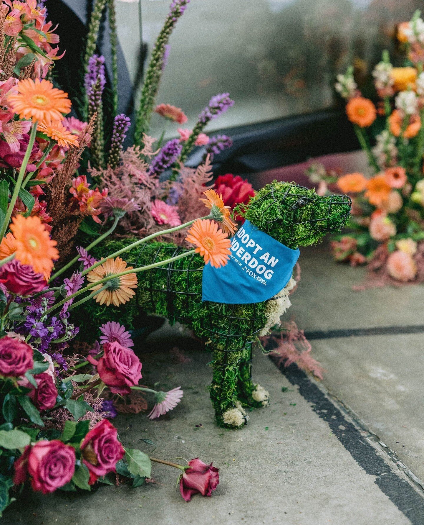 Did we *really* NEED 3 of Historic Eastern Market's sheds for this gala? 100% YES. ⁠
⁠
Guests at the Annual Purrfect Bow Wow Brunch experienced it all -- from mingling with cocktails to floral installations to visiting with furry friends. The best pa