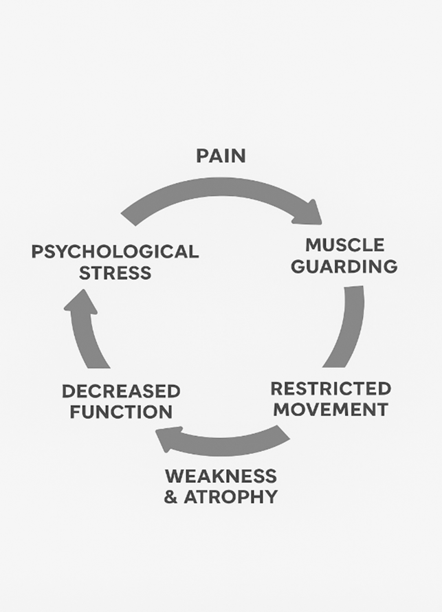 The Pain Cycle