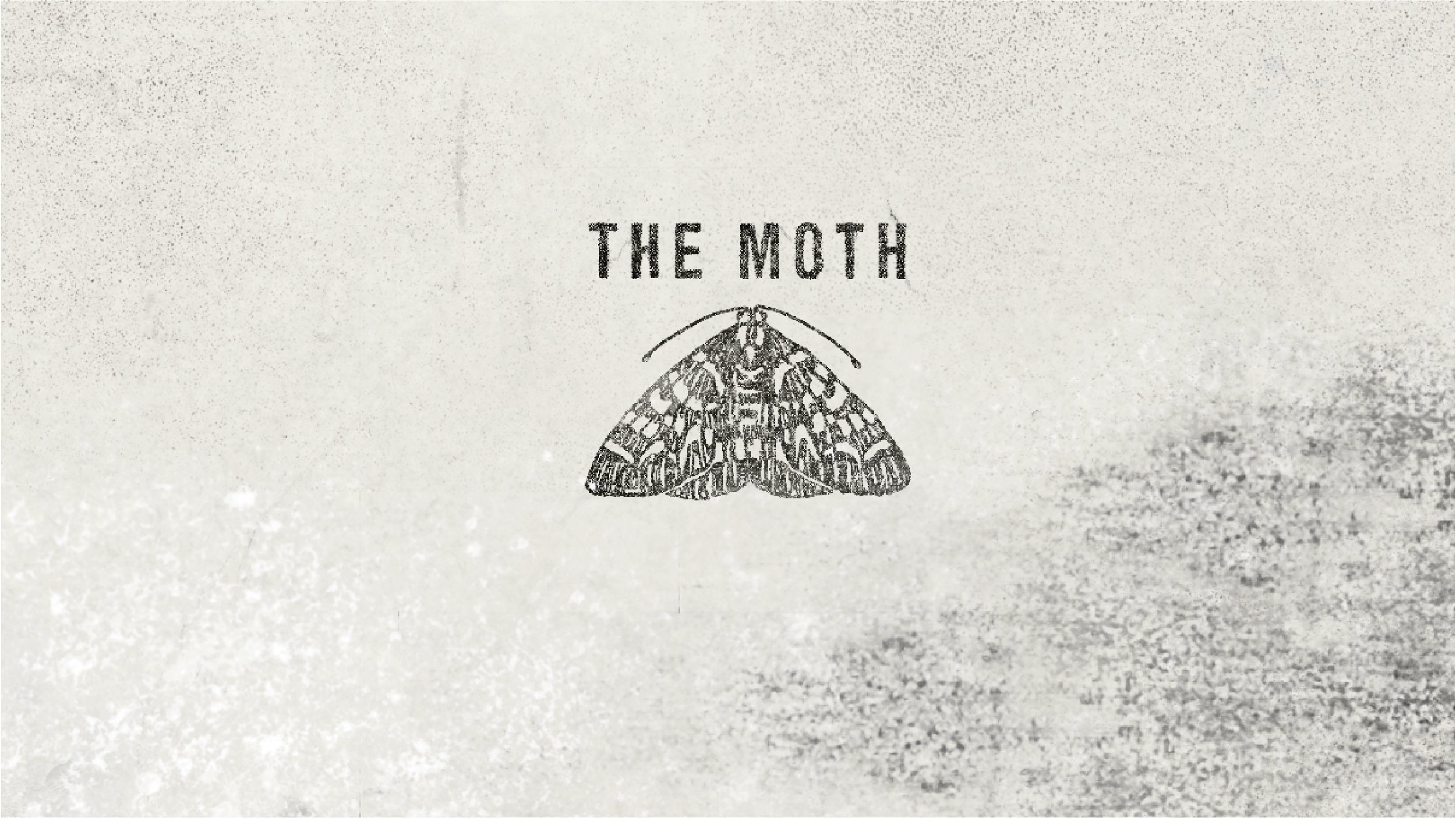 moth8.jpg