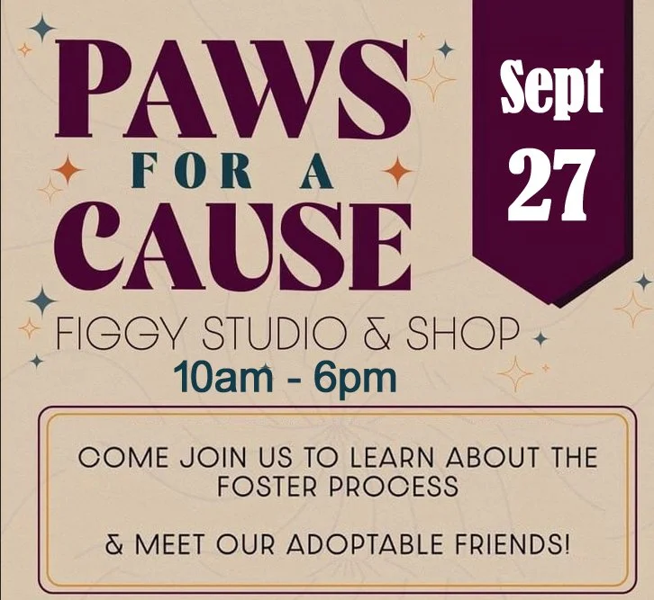 Paws for a Cause