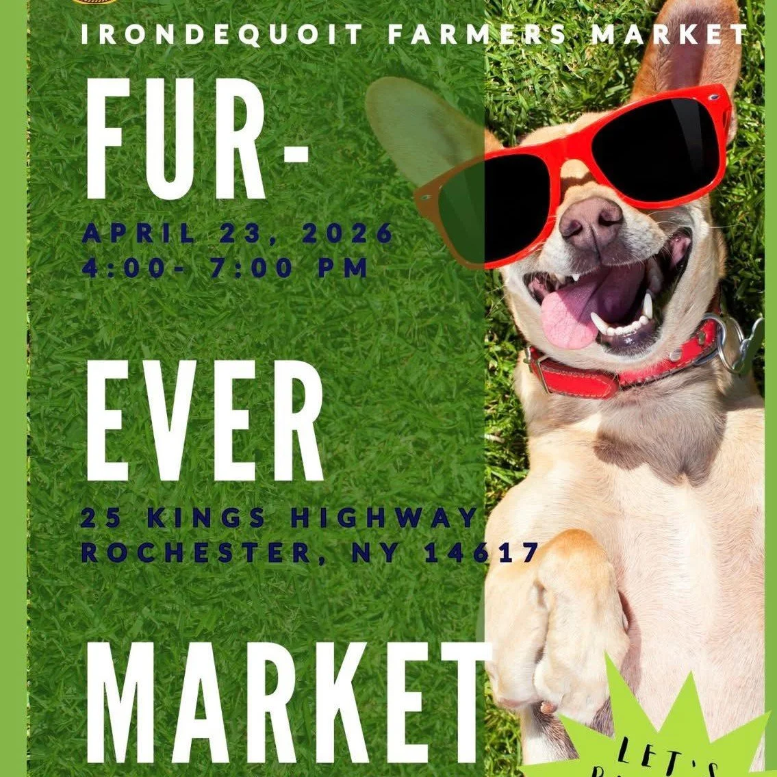 Dog Adoption Event at Irondequiot Farmers Market
