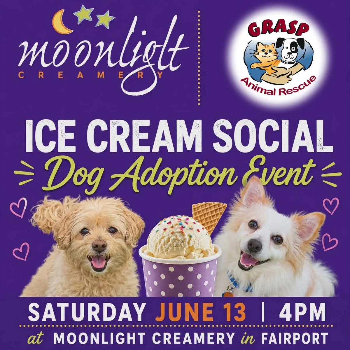 Dog Adoption & Ice Cream Social