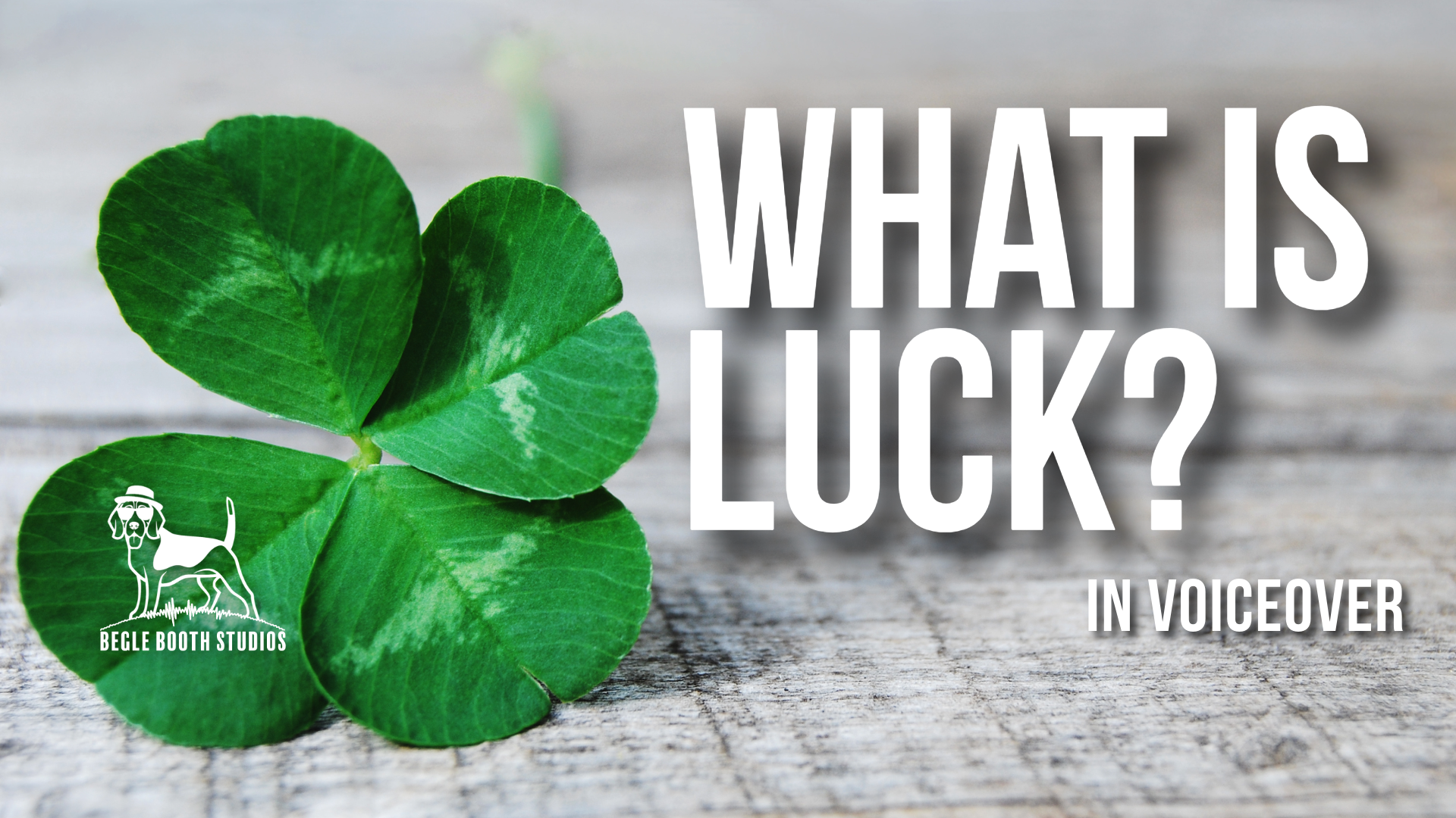 Luck Has Nothing to Do With It: How Voice Actors Create Their Own Success