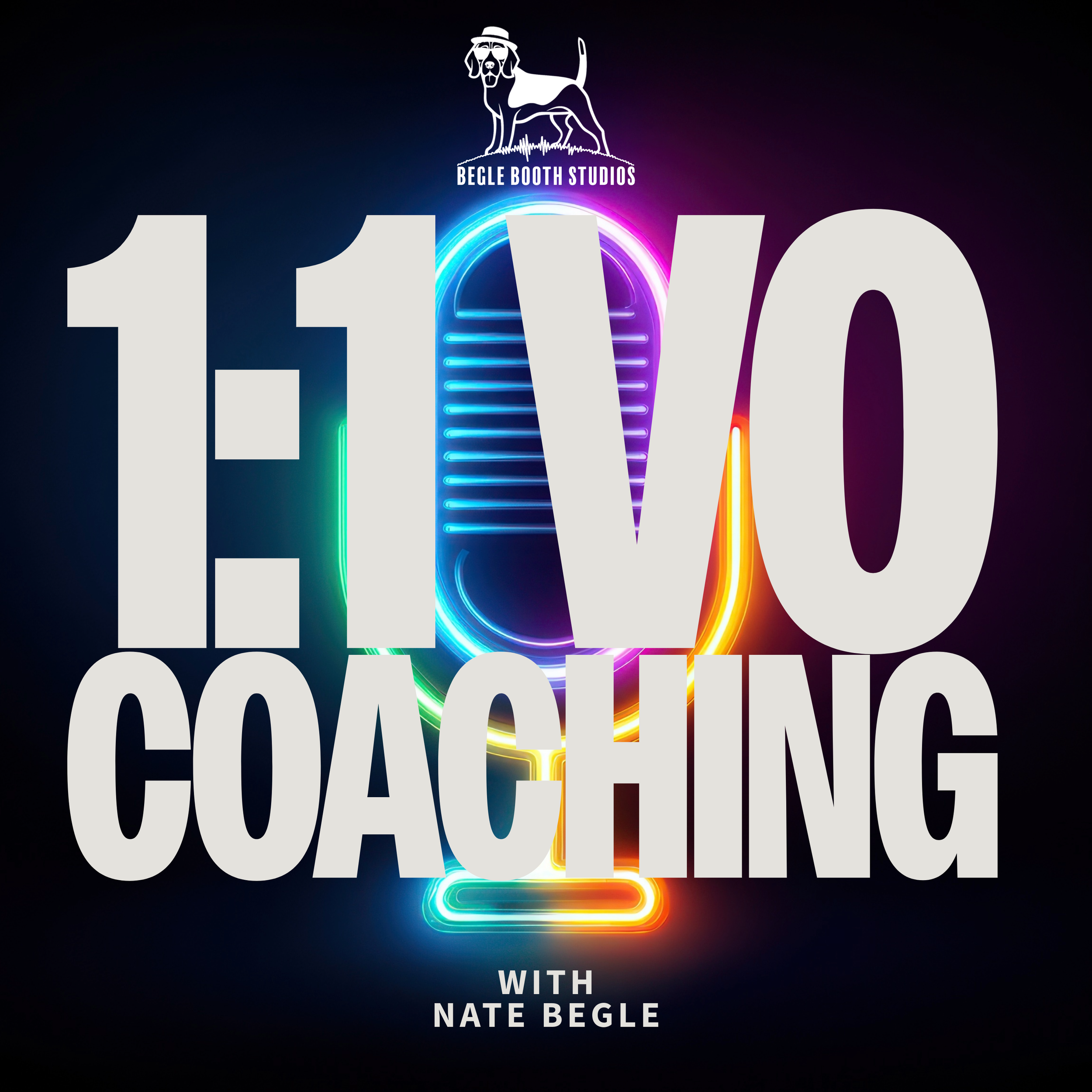 1 on 1 VO Coaching (1).png