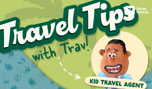 Travel Tips with Trav
