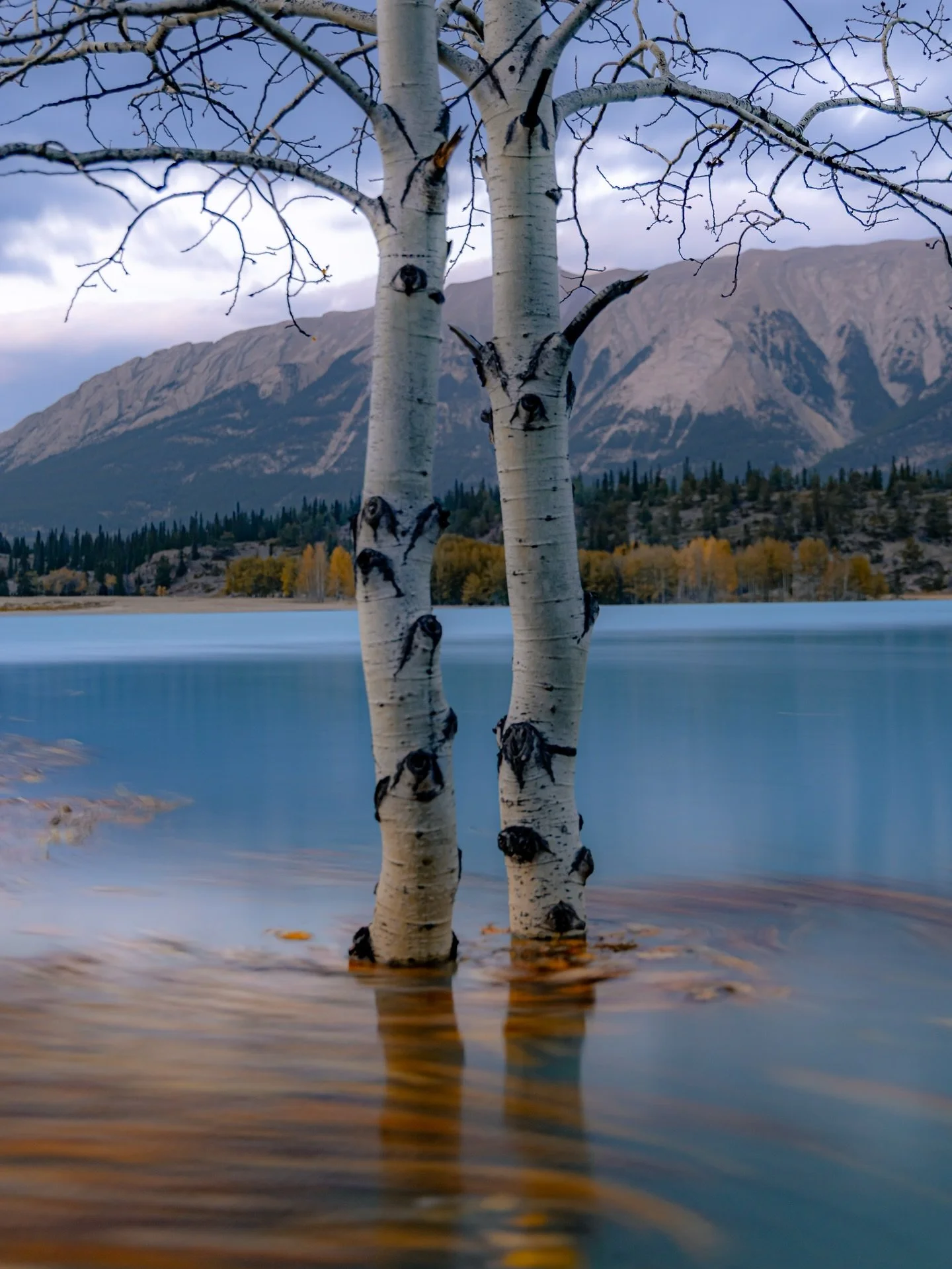 I don’t even want to think about how many kilometres (a km is 436 bald eagles for my south of the border friends)  I put on my truck this fall. Ripping around the mountains to where ever the colours were poppin. 
Here’s some shots from th
