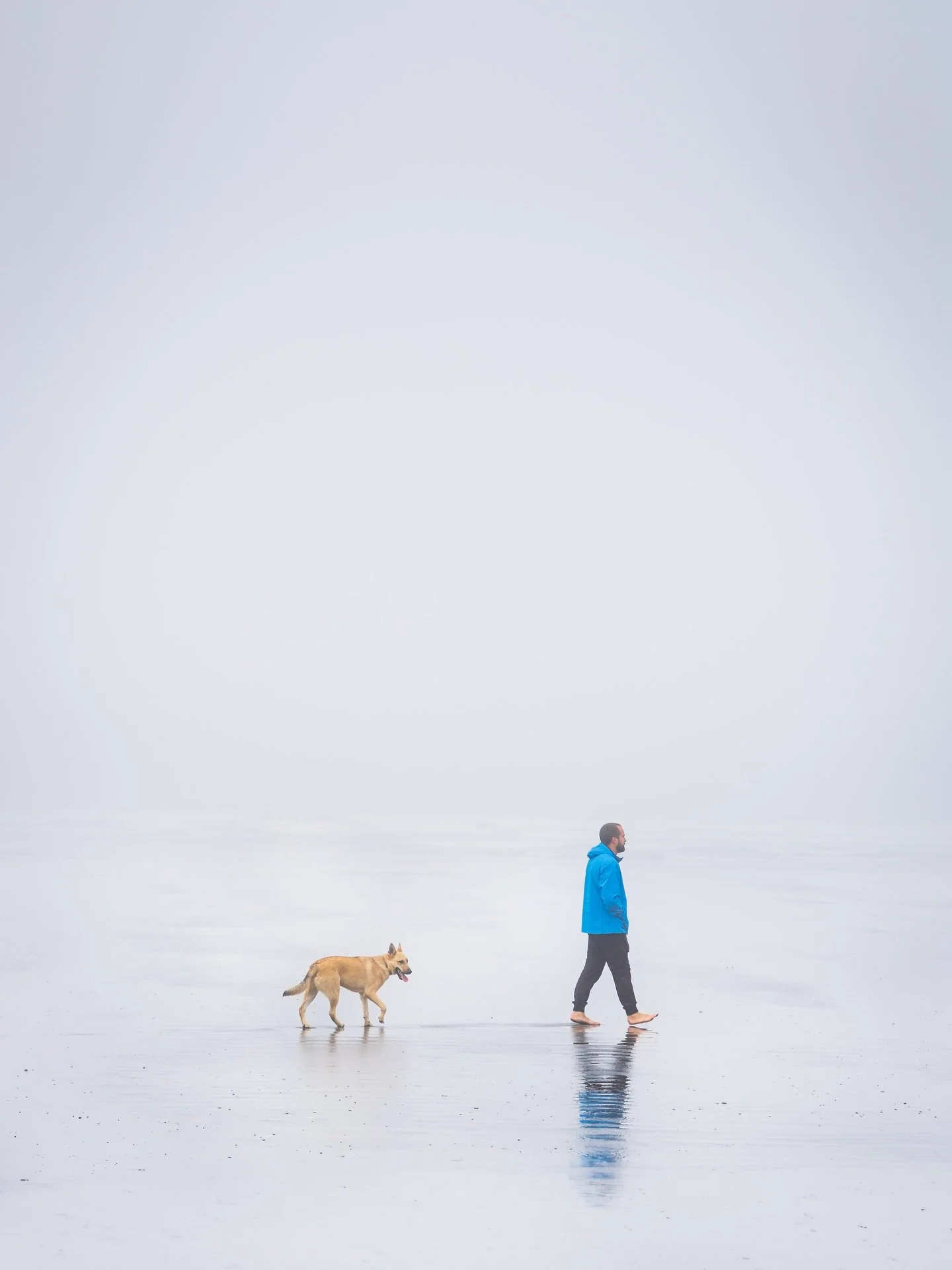 PNW Vibes
#photography #pnw