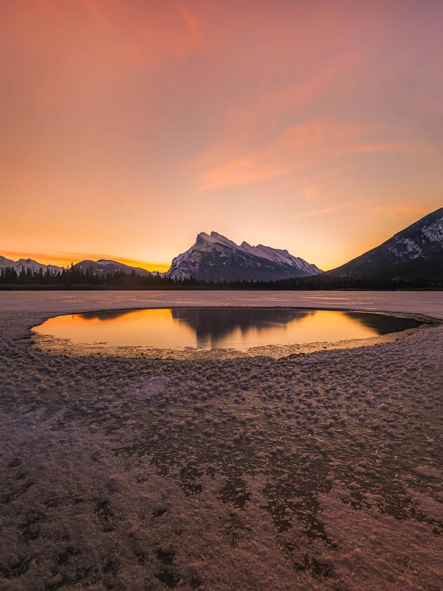 Tell me something better than going for a sunrise skate with my dogs. 
I&rsquo;ll wait. 
#photography #wildice