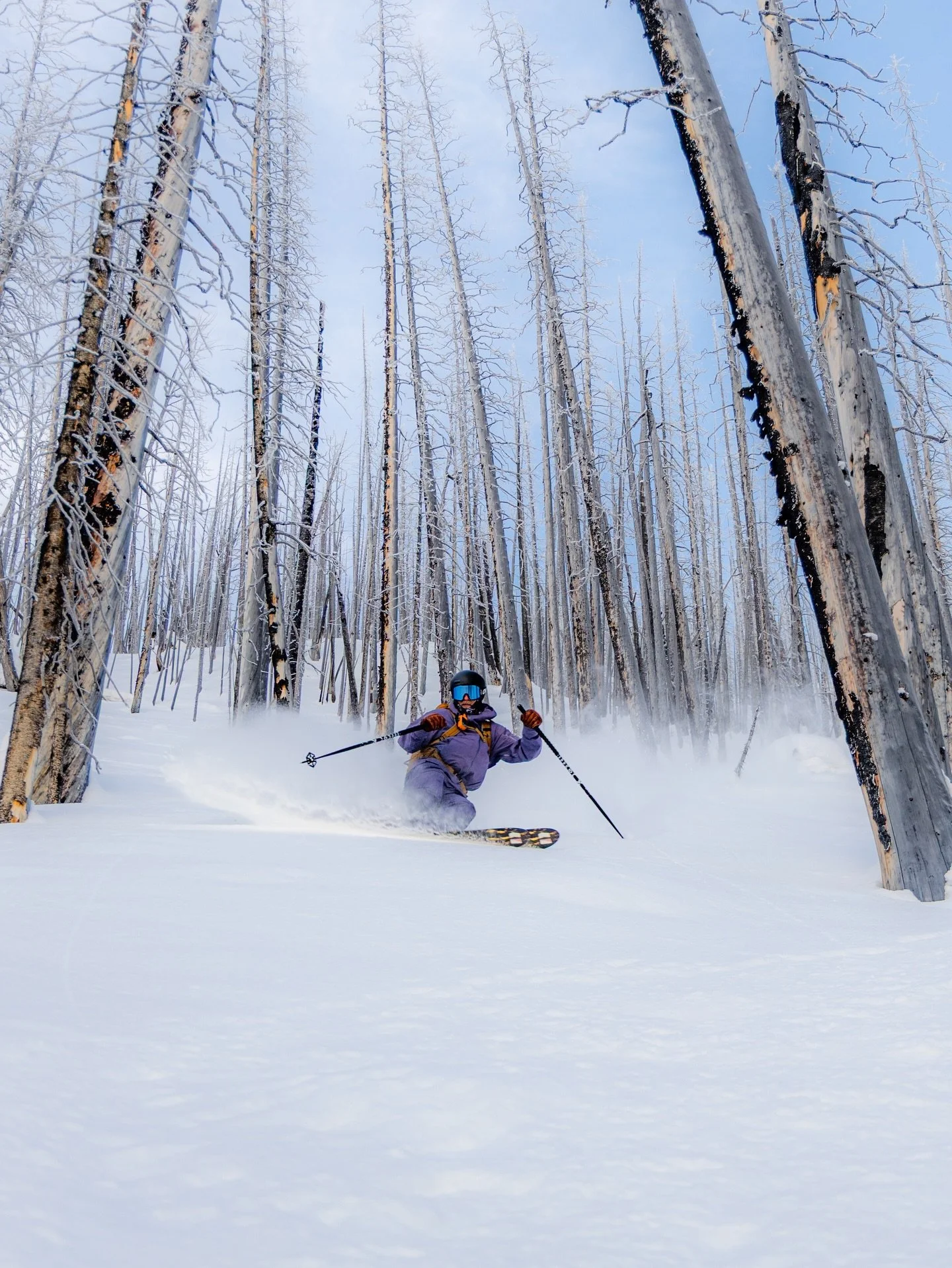 Some shots from days in the backcountry recently ✌️
Grateful for friends who bring pepperoni ❤️
Also the last four shots (the good ones) are from my homie @wjlphoto of me absolutely thriving.