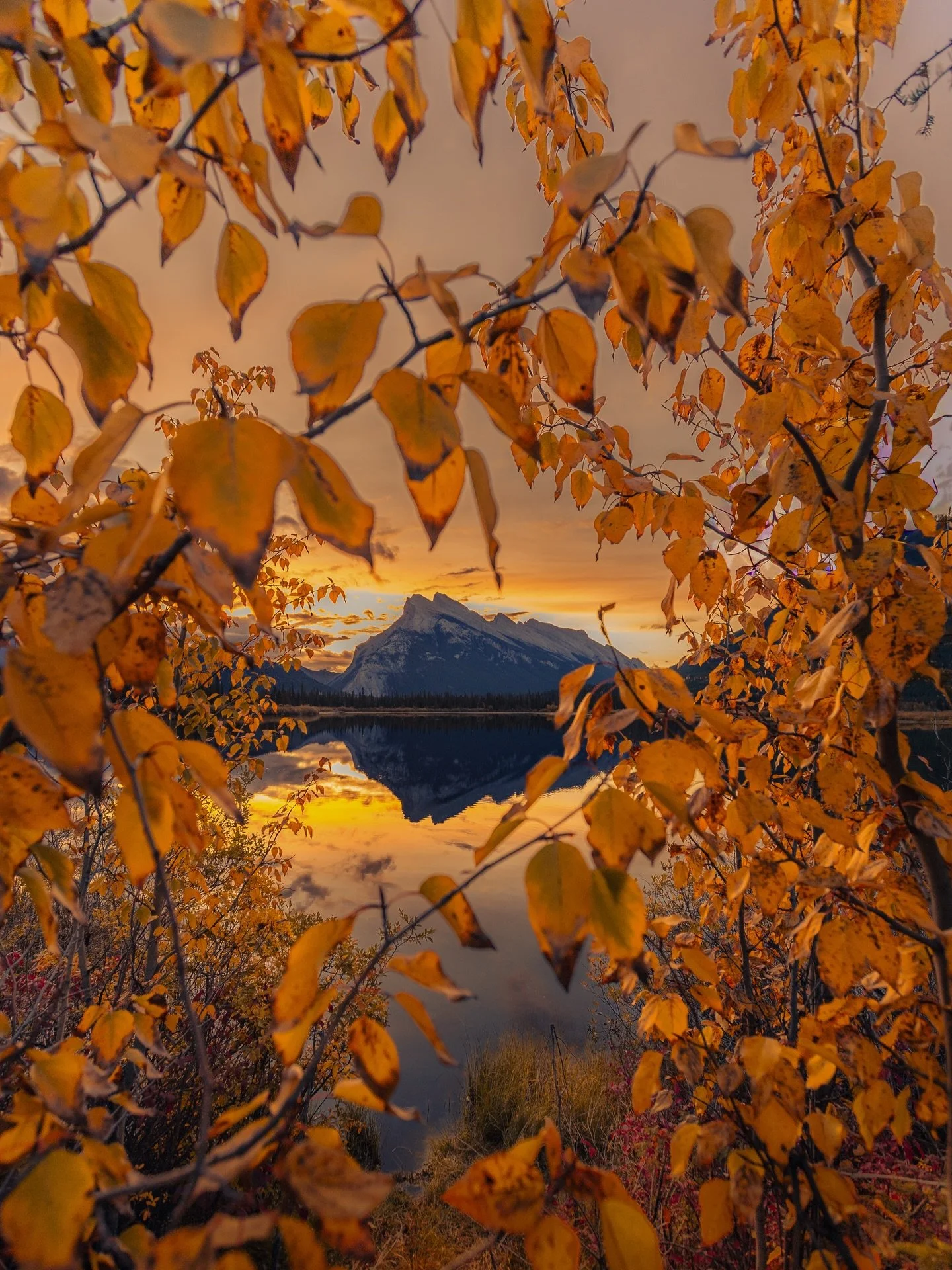 Excited to get back to my mountain paradise this week. 
#banff #canadianrockies #photography