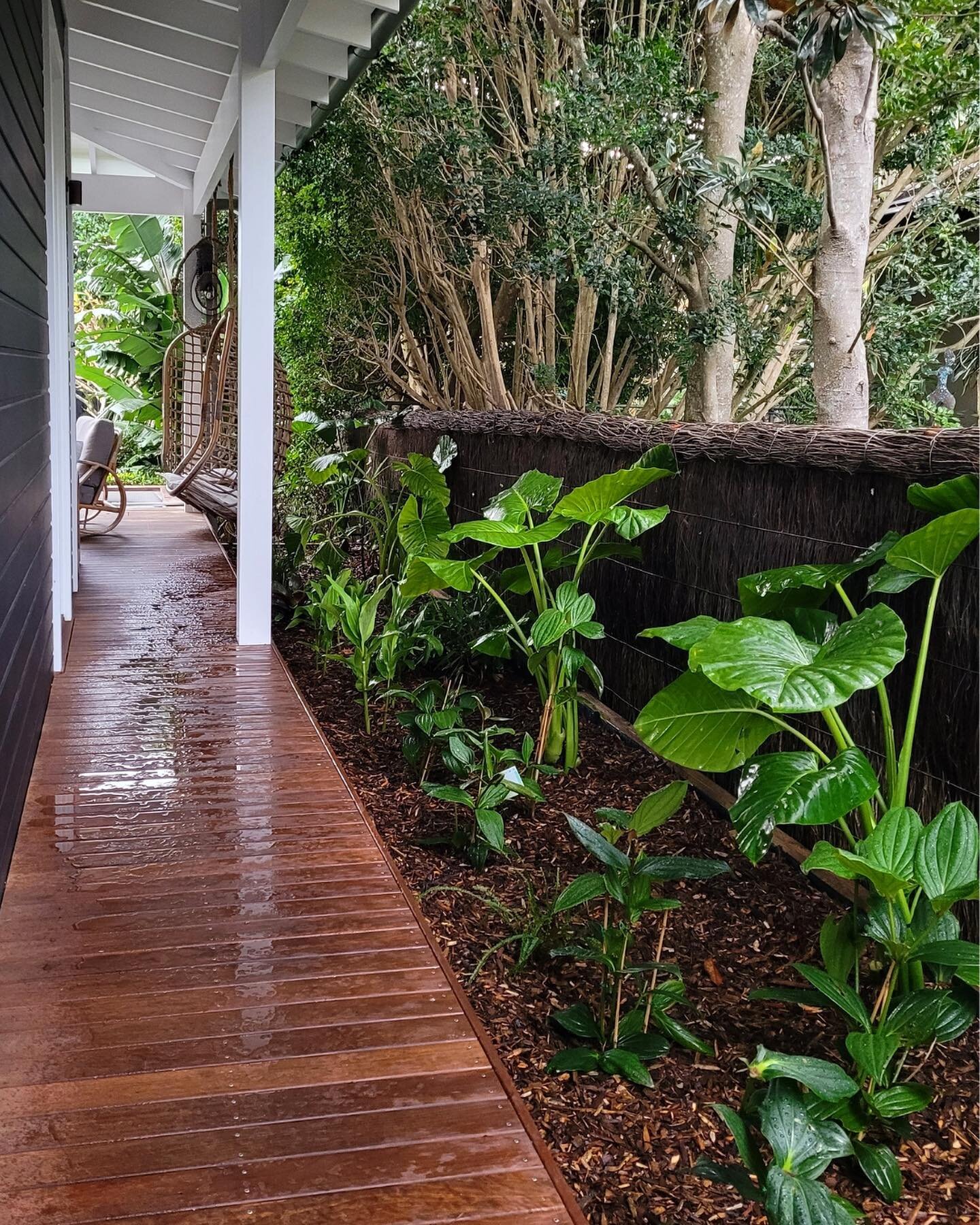 BEFORE &amp; AFTER | Newport Beach | Refreshing the side-path garden to create a sleek &amp; welcoming entrance into the back entertaining space. 

Cleared out some not-so-happy-and-healthy vegetation, built up the garden bed to just below deck level