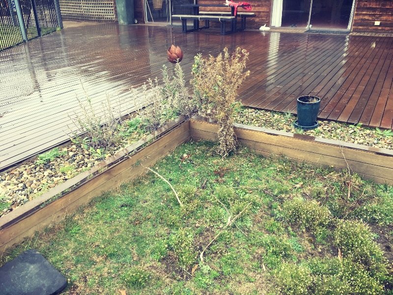 cold-weather-gardens-snaoy-mountains-nsw