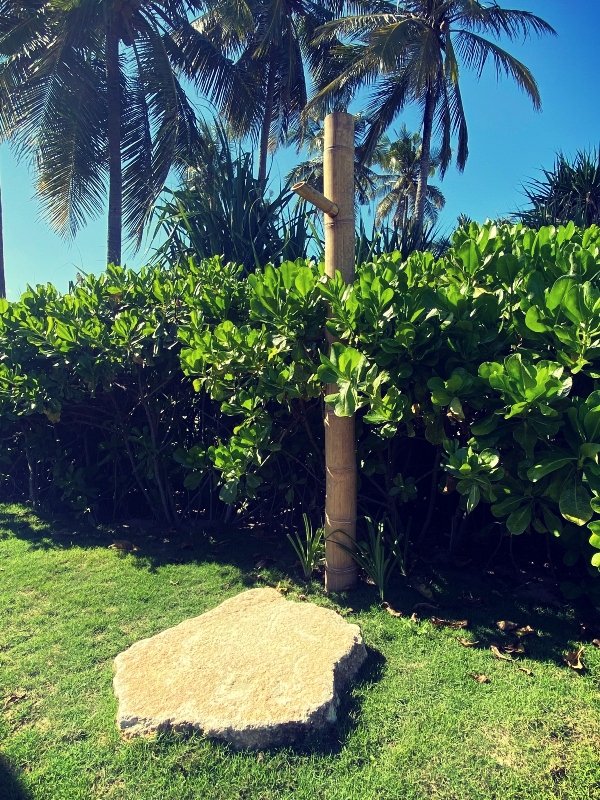IMG_2060tropical-garden-inspiration.jpg
