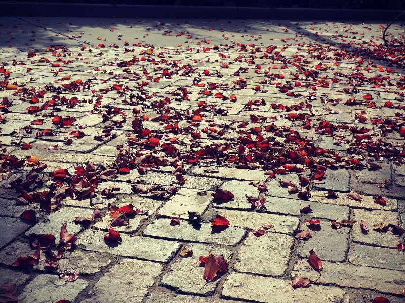 Stonework-and-paving-avalon