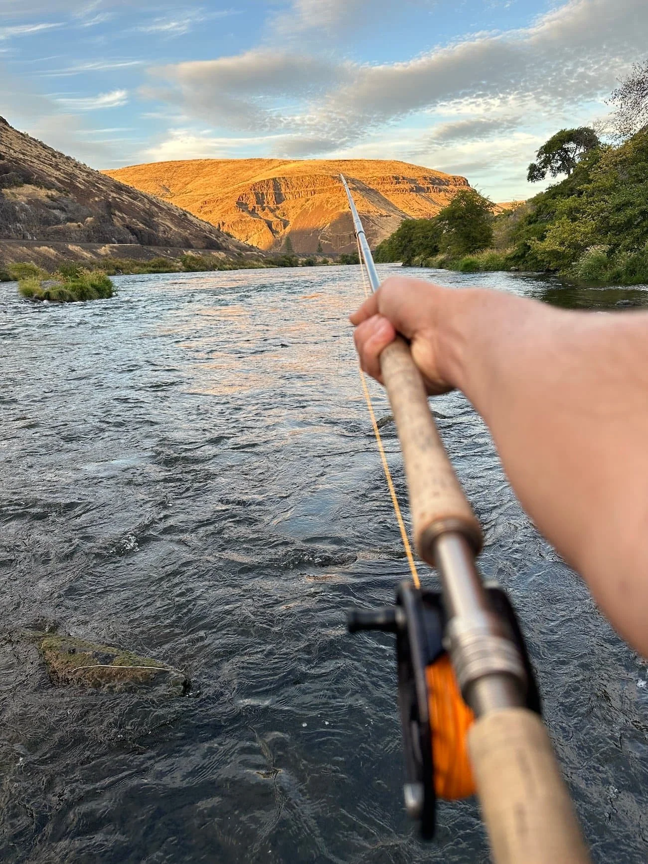Travis Vance swinging flies for steelhead deschutes river