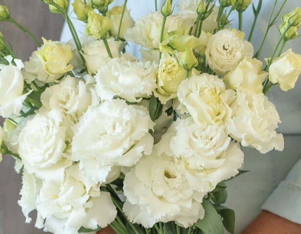 Lisianthus – Voyage 2 Pure White.jpg