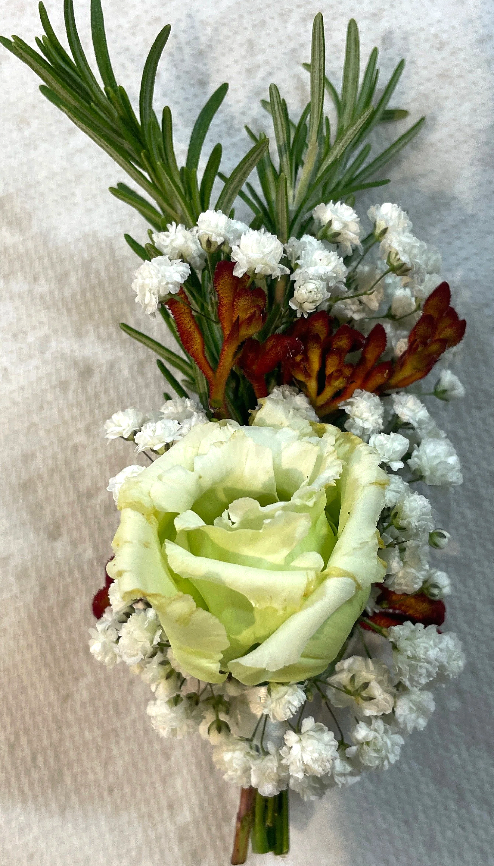 IMG_1710.png