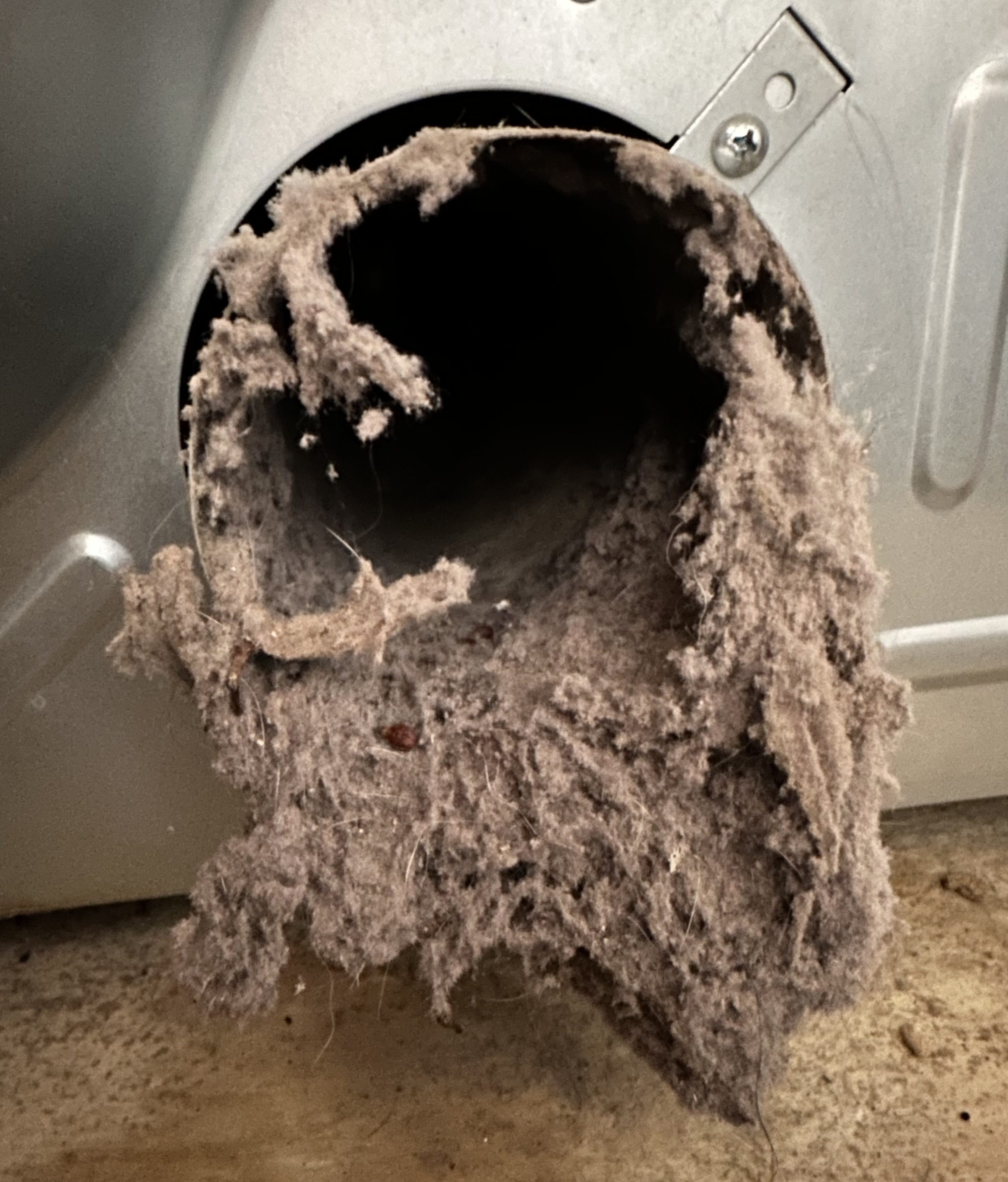 Dryer air vent clogged