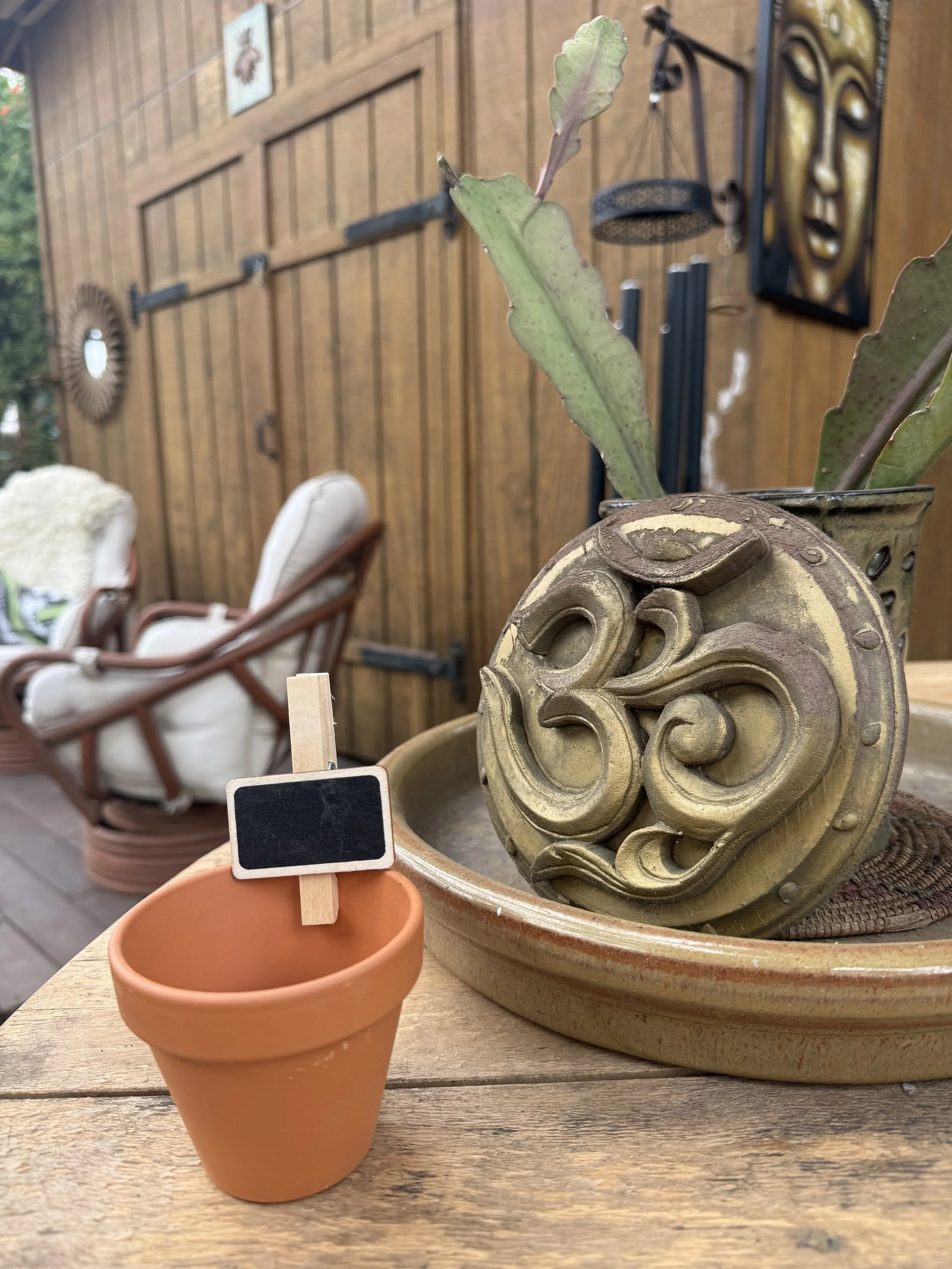 terracotta pot in front of barn.jpeg