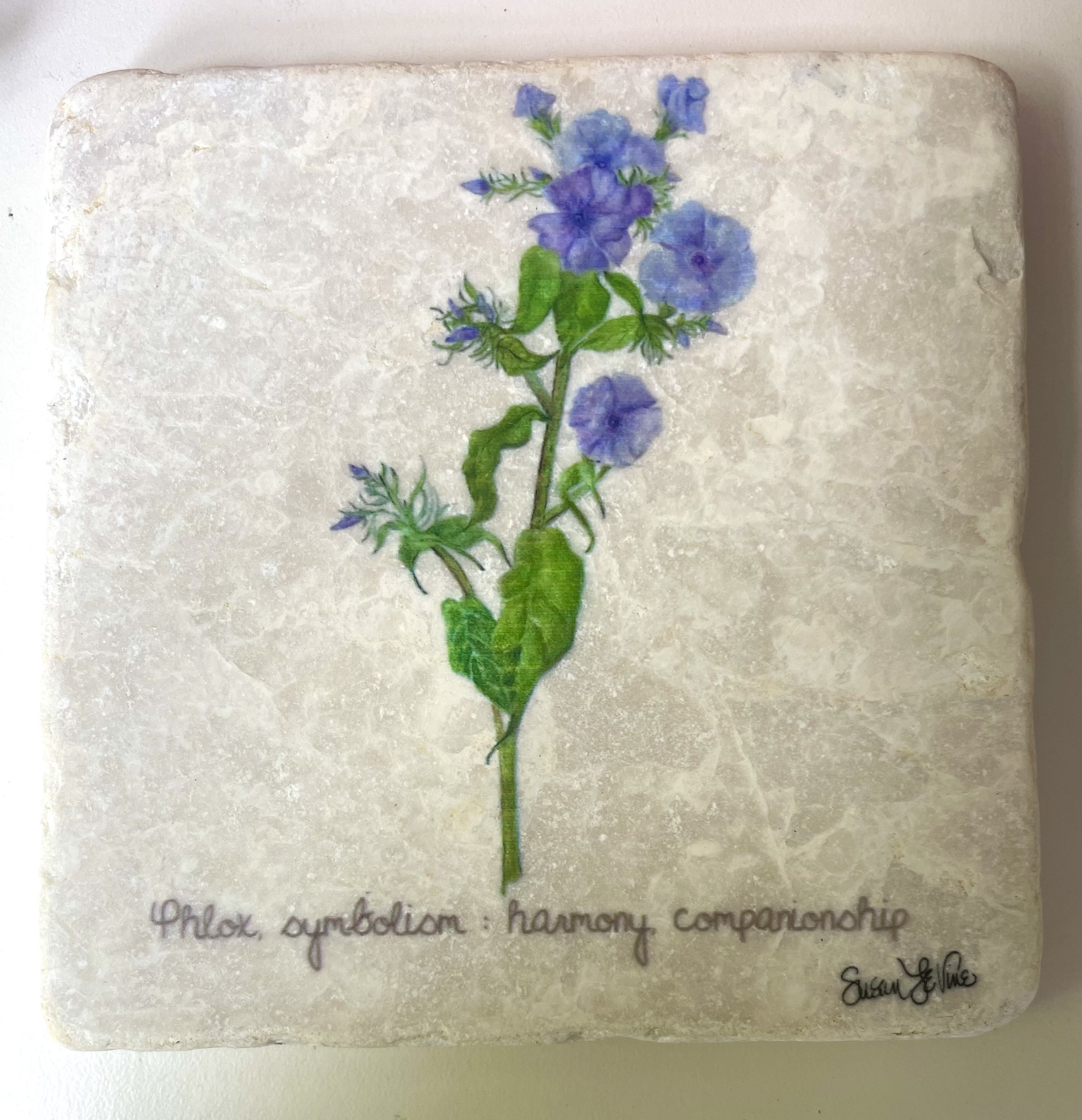 Coaster_phlox.jpg