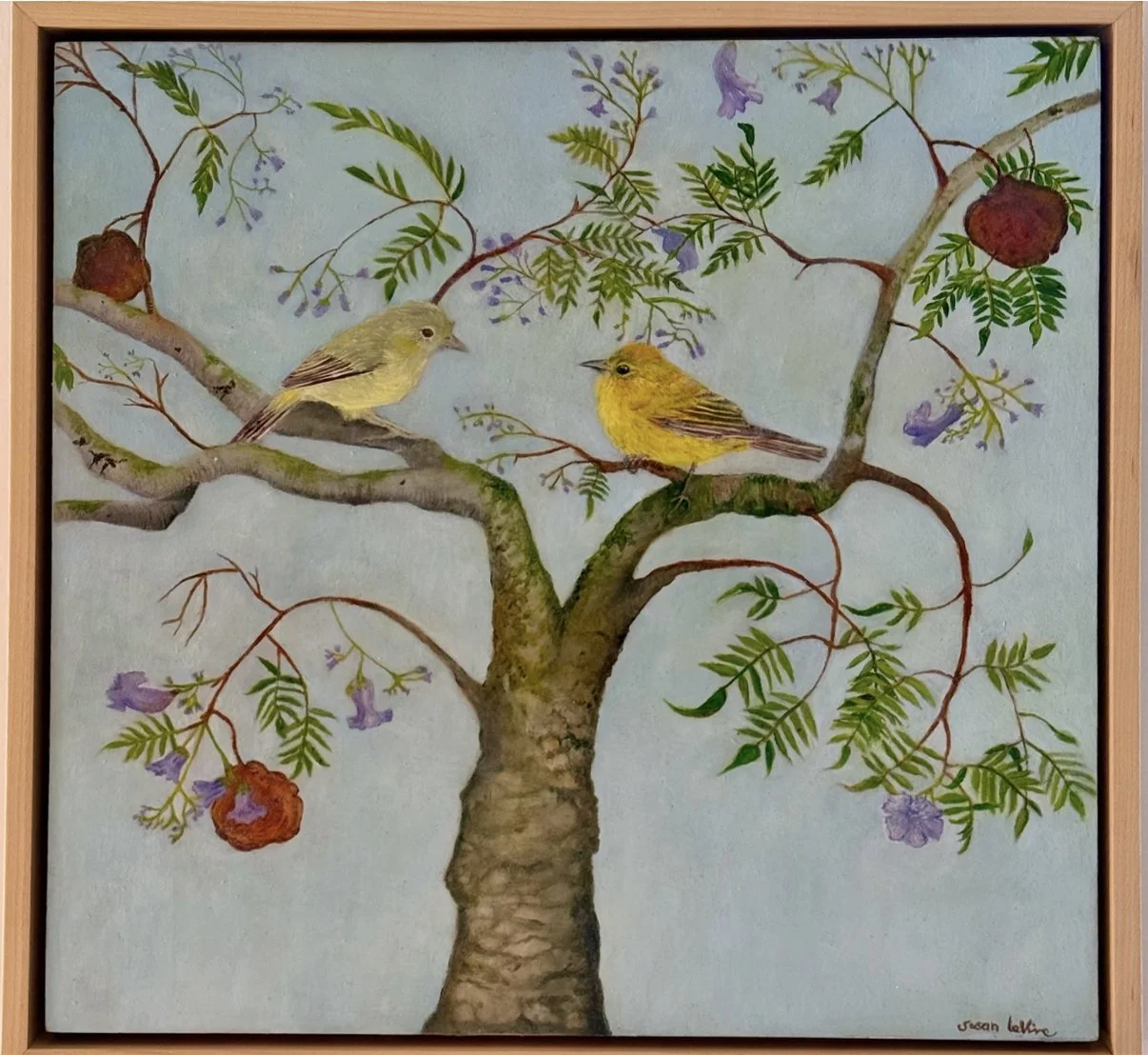 LeVine_orange-crowned warblersinjac copy.jpg