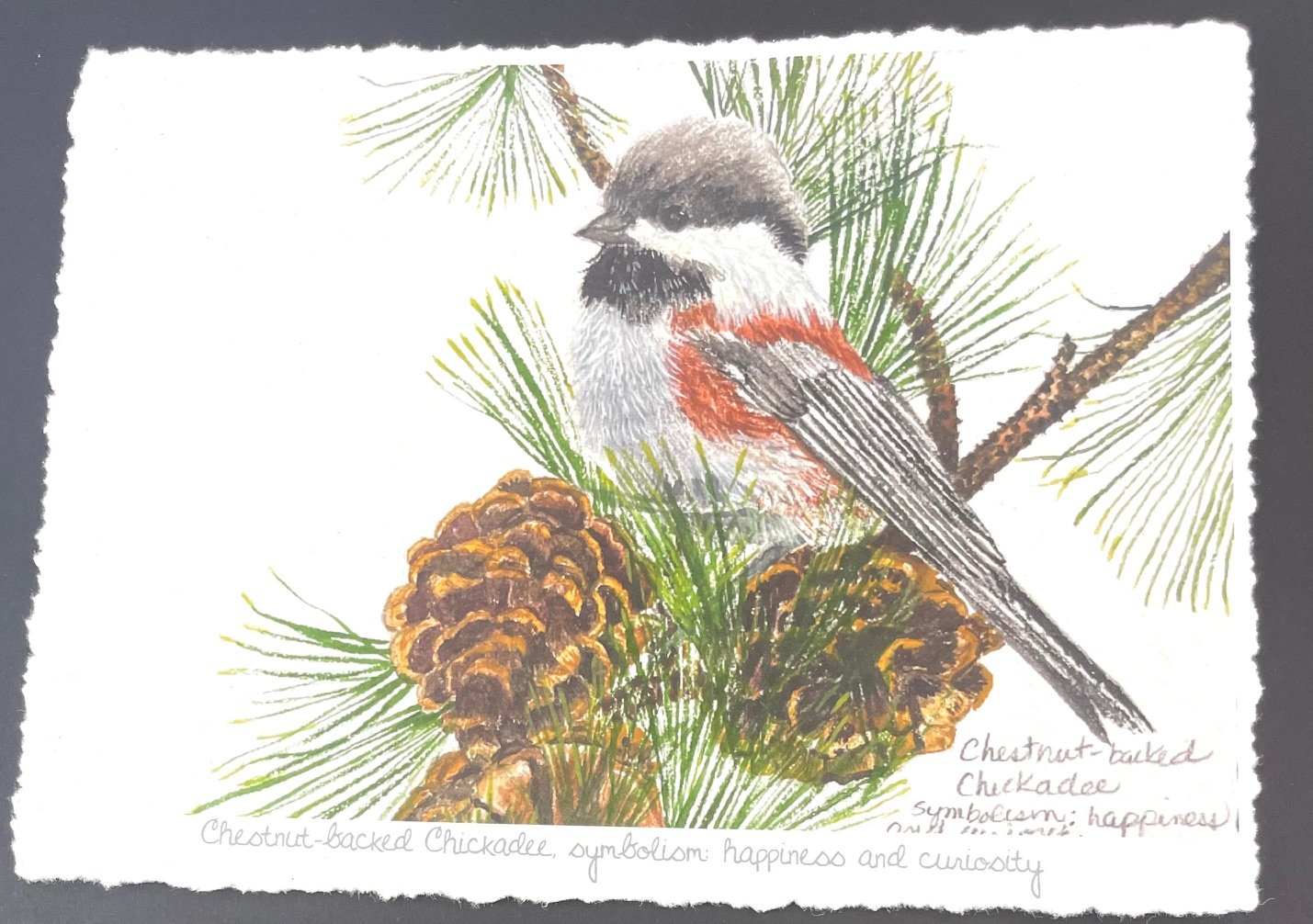 Chestnut backed Chickadee, matted print, handmade card and stone handcrafted coaster