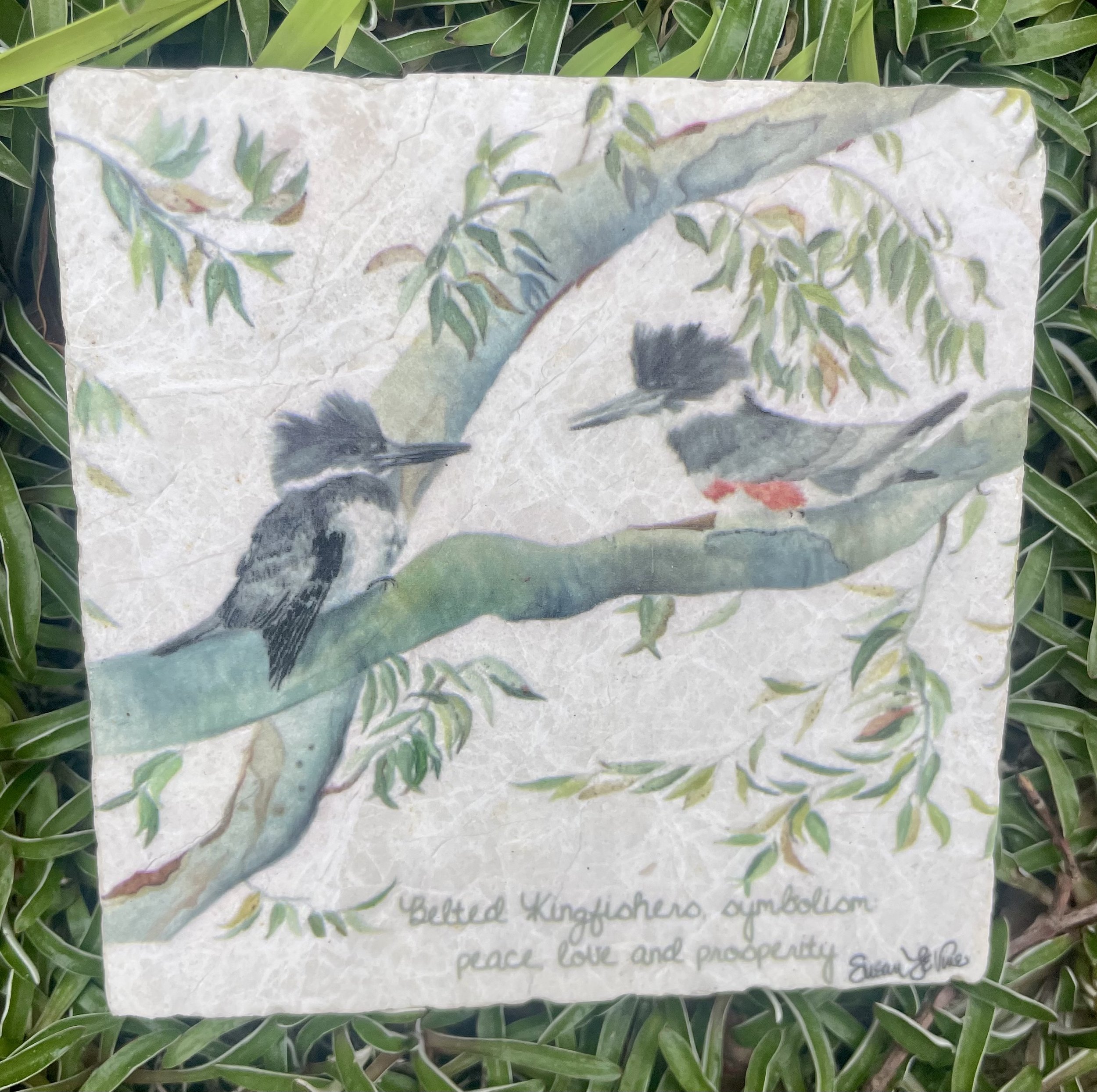 Coasters_kingfisher..jpg